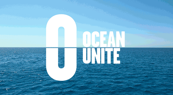 Pursuit x Ocean Unite